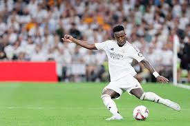 他们一家在 他们一家在